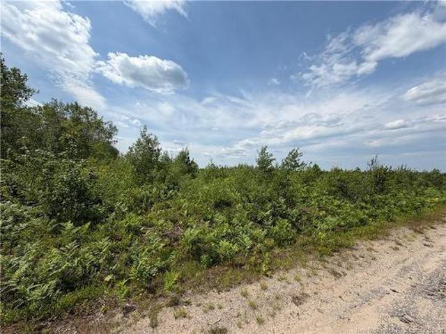 Lot 4 O'Keefe Rd, Miramichi, NB, E1V 6J3 vacant land for sale | Listing ID NB143954 | Royal LePage