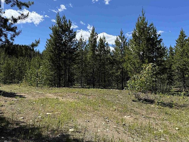 Lot 4 Pitney Road Valemount, British Columbia
