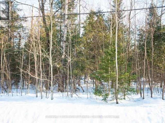 Lot 4 Spruce Street, Tiny, ON, L0L 1P0 vacant land for sale | Listing ID S11990 | Royal LePage
