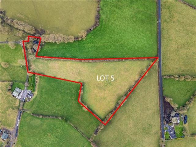 Lot 5 c. 6.32 Acres, Lemanaghan, Ballycumber, Co. Offaly DNG Kelly Duncan 4923 MyHome. Ie Residential
