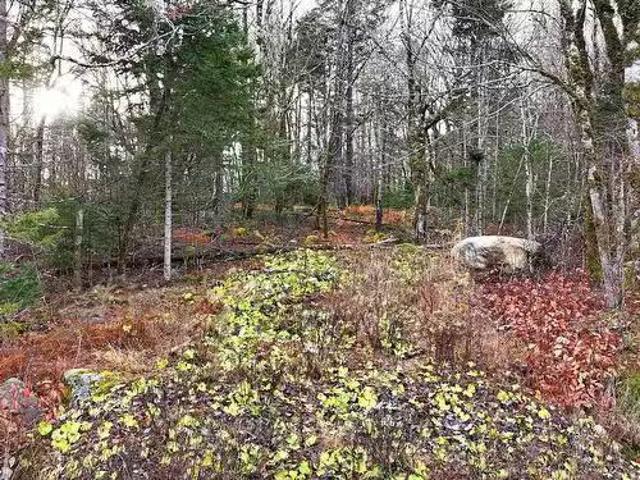 Lot 5 Nathan Croft Road, Camperdown, NS, B4V 6T9 vacant land.