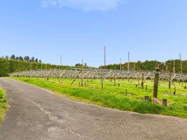 Lot 6/1010 Te Matai Road, Te Ranga, Western Bay Of Plenty