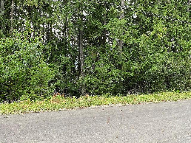 Lot 65 Castle Heights Anglemont, British Columbia