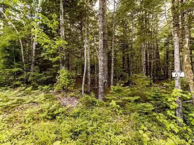 Lot 67 White Tail Pass, Vaughan, NS, B0N 2T0 vacant land for.