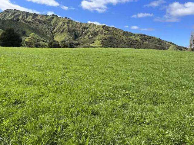 Lot 6 632 Mangaotuku Road, Tututawa, Stratford For Sale