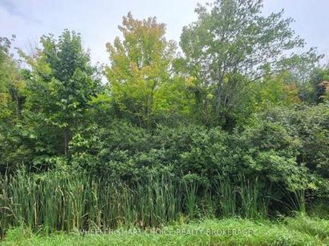 Lot 6 Tolmies Corners Road, North Stormont, ON, K0C 1V0 vacant land for sale | Listing ID X13589 | Royal LePage