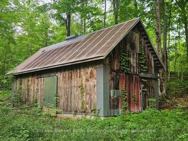 Lot 6 Concession 12 Ndr Bentinck, West Grey, ON, N0G 1S0 farm for sale | Listing ID X13532 | Royal LePage
