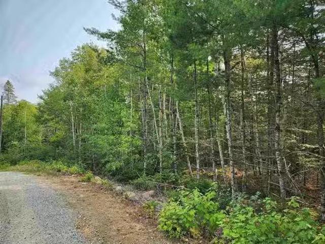 Lot 70 Turner Point Crossover, Walden, NS, B0J 2E0 vacant la.