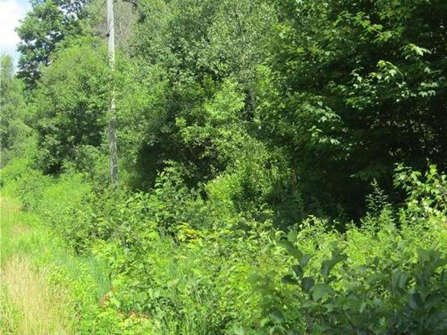 Lot 82 11 Route 770, Lee Settlement, NB, E5C 1E9 vacant land for sale | Listing ID NB135546 | Royal LePage