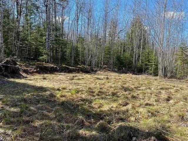 Lot 8 Loch Broom, Loch Broom, NS, B0K 1H0 vacant land for sa.