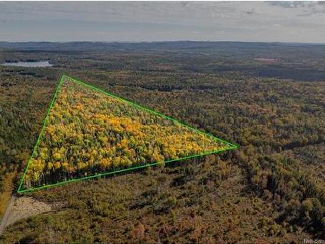Lot Clatter Rd, Rollingdam, NB, E5A 2Y9 vacant land for sale | Listing ID NB127781 | Royal LePage