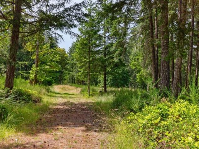 Lot A 6755 Stoney Hill Rd, Duncan, BC, V9L 6Y6 vacant land for sale | Listing ID 1041 | Royal LePage