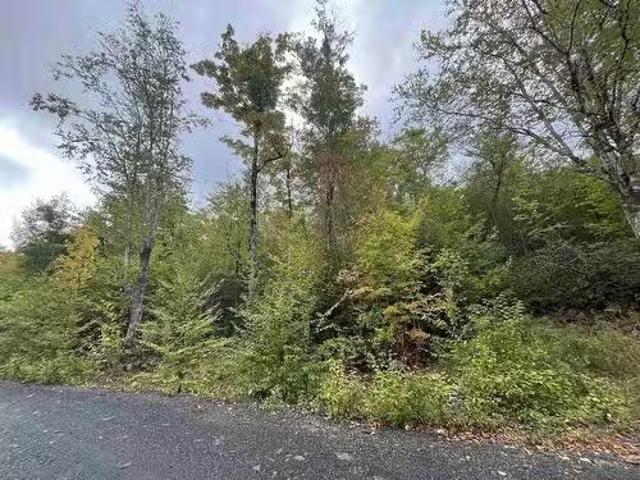 Lot A 7 Russells Cove Road, Parkdale, NS, B0R 1A0 vacant lan.