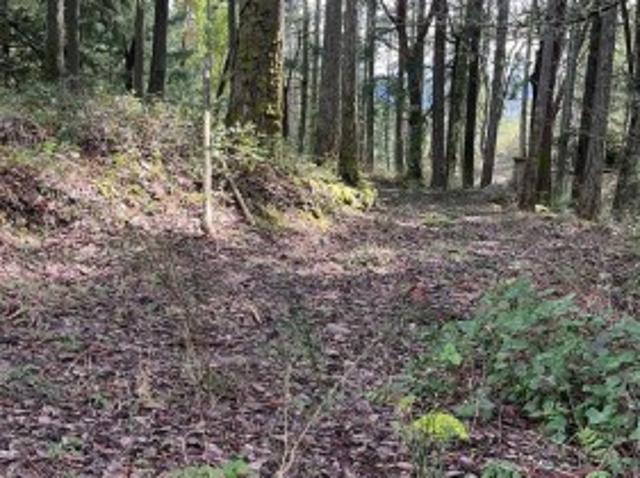 Lot A Ebadora Lane, Malahat, BC, V0R 2L0 vacant land for sale | Listing ID 1042 | Royal LePage