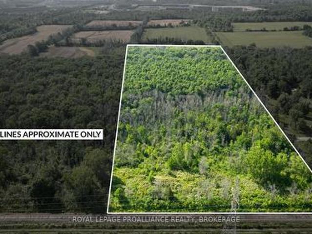 Lot B Townline Road, Loyalist Lennox And Addington South, ON, K0H 1G0 vacant land for sale | Listing ID X13686 | Royal LePage