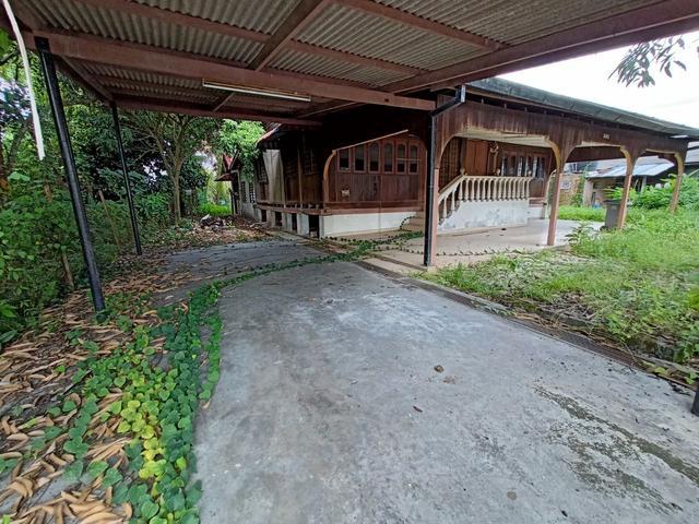 Lot Banglo Rumah Kampung Ampangan