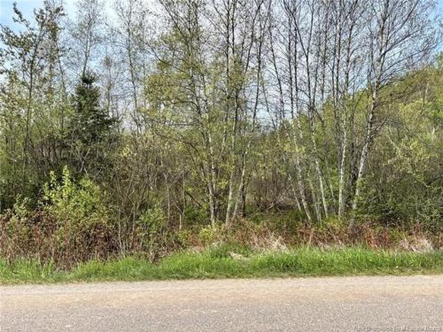 Lot Blakney Road, Killams Mills, NB, E4Z 2V1 vacant land for sale | Listing ID NB139452 | Royal LePage