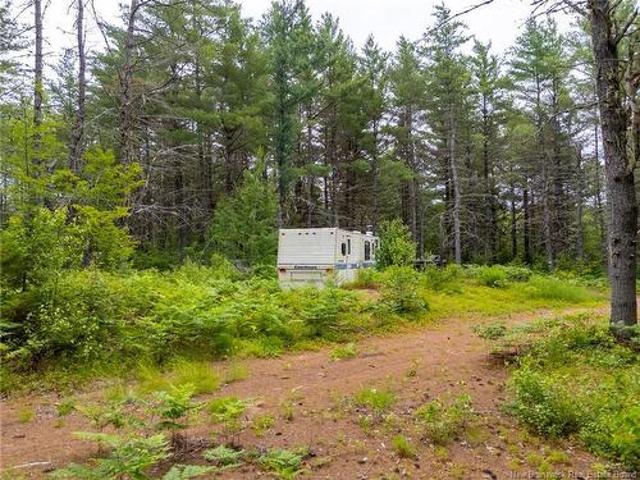 Lot Graham Rd, South Oromocto Lake, NB, E5L 0O0 vacant land for sale | Listing ID NB144598 | Royal LePage