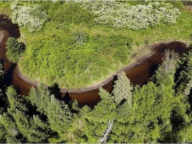 Lot Dargavels Rd, Bass River, NB, E4W 2X9 vacant land for sale | Listing ID NB141068 | Royal LePage