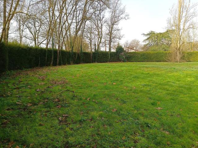 LOT de 3 terrains constructibles