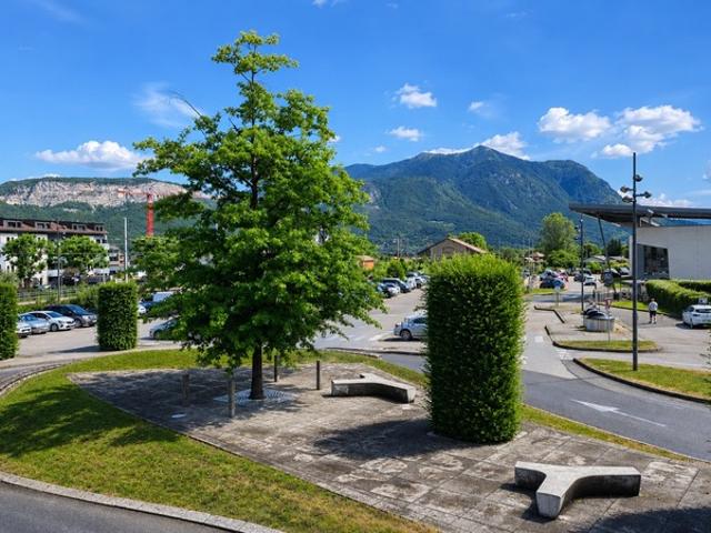 LOT DE 2 APPARTEMENTS A VENDRE SAINT PIERRE EN FAUCIGNY 74