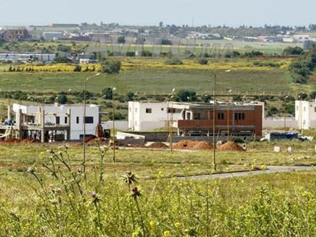Lot de Villa 540 M, viabilisé, titré, 4 façades