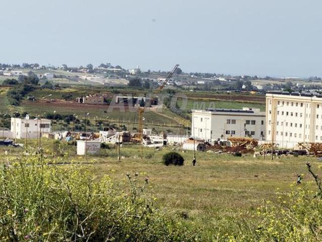Lot de Villa 540 M², viabilisé, titré, 4 façades