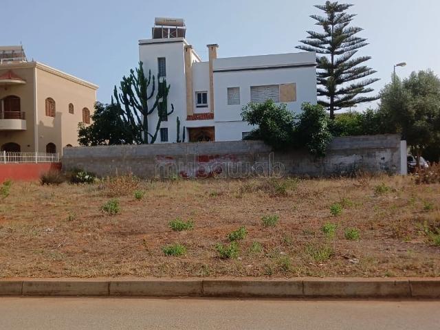 Lot de villa isolée, en face de la forêt, Surface 407 m²