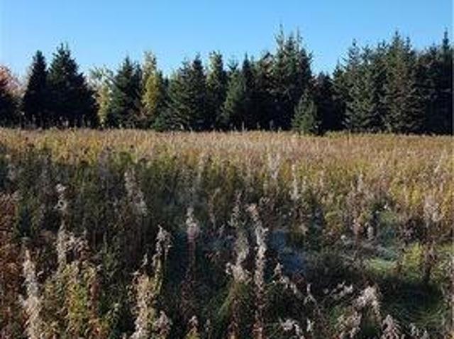 Lot Desroches Rd, Mcintosh Hill, NB, E4J 4L1 vacant land for sale | Listing ID NB144784 | Royal LePage