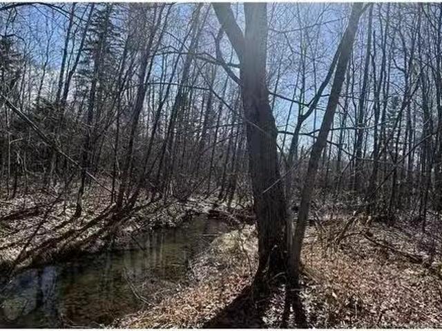 Lot Dr Hamilton Drive, Doaktown, NB, E9C 1A9 vacant land for.