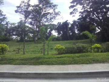 Lot for Sale Costa Verde Batangas