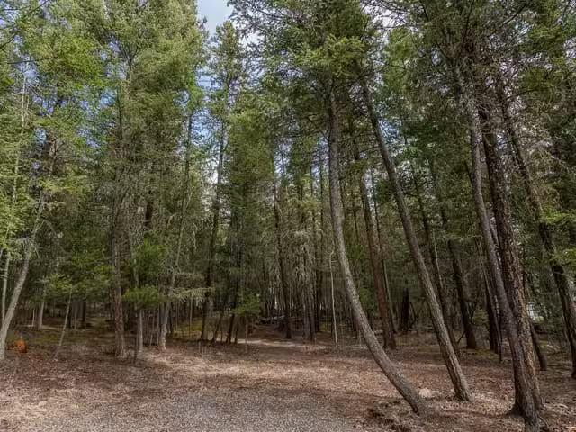 Lot for sale in 108 Mile Ranch, 100 Mile House, Lot 83 Tatters.