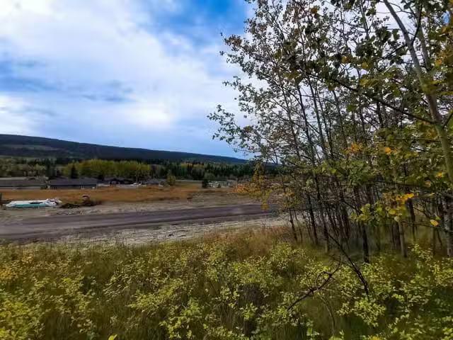 Lot for sale in 100 Mile House, 100 Mile House, 292 Blackstock.