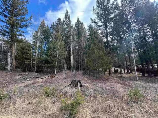 Lot for sale in 100 Mile House, 100 Mile House, 6431 Lambley R.