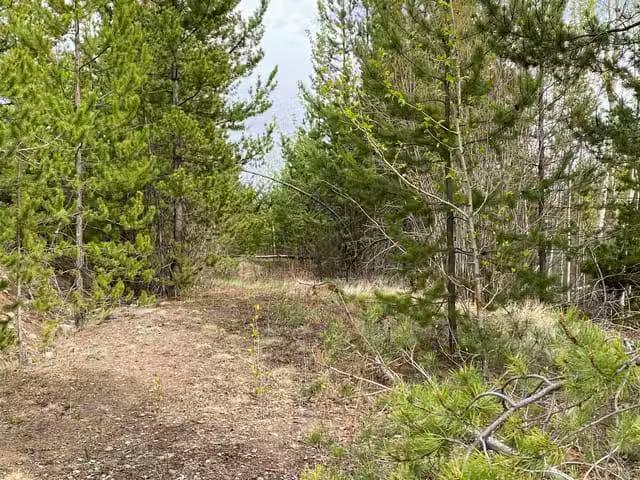 Lot for sale in 100 Mile House, 100 Mile House, Blk a 94 Mile.