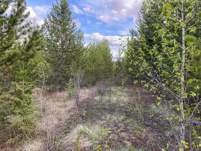 Lot for sale in 100 Mile House, 100 Mile House, Blk C 94 Mile.