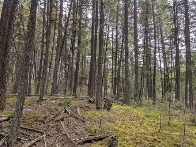 Lot for sale in Canim Lake, 100 Mile House, Lot 3 Summit Road.
