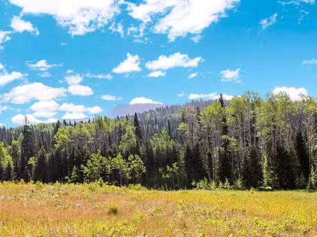 Lot for sale in Bridge Lake, 100 Mile House, Lot 1 Little Fort.