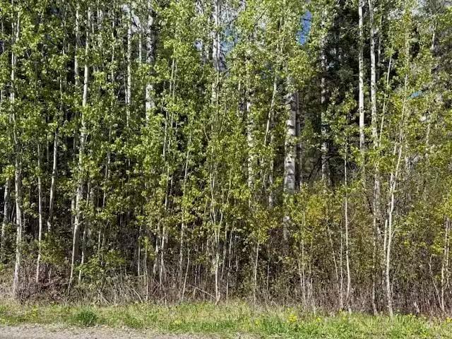 Lot for sale in Bridge Lake, 100 Mile House, Lot 26 Boultbee R.