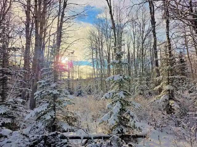 Lot for sale in Burns Lake, Burns Lake, FRAC N1/2 Dl 2557 Bint.