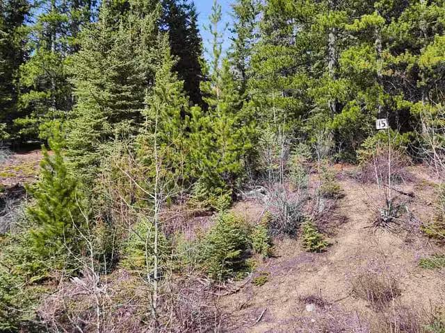 Lot for sale in Burns Lake, Burns Lake, LOT 15 N Binta Main Fo.