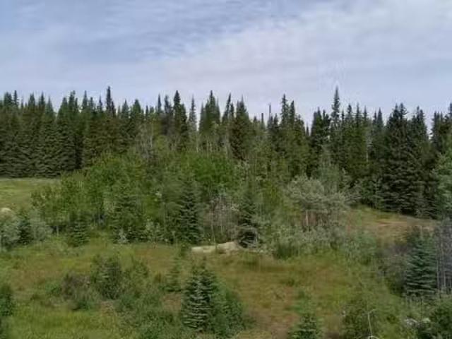 Lot for sale in Burns Lake, Burns Lake, 660 Sparks Road, 26293.