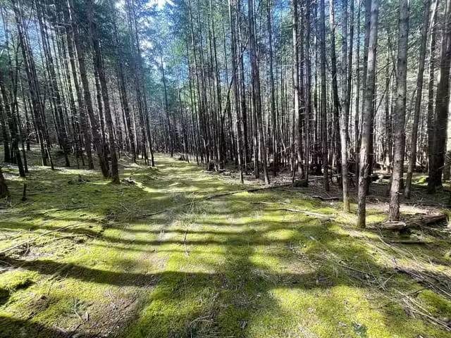 Lot for sale in Gabriola Island, Islands Van. & Gulf, 1840 Sey.
