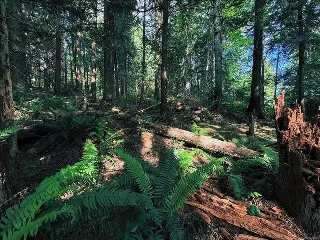 Lot for sale in Gabriola Island, Lot 6 Spruce Ave, 1036850