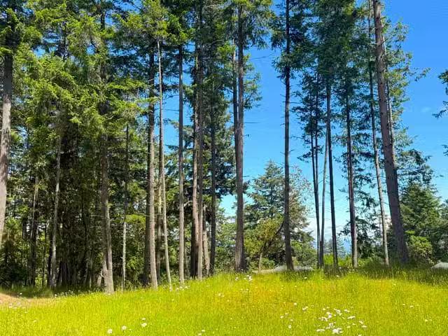Lot for sale in Galiano Island, Islands Van. & Gulf, 448 Burri.
