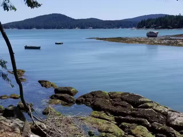 Lot for sale in Galiano Island, Islands Van. & Gulf, 620 Simps.