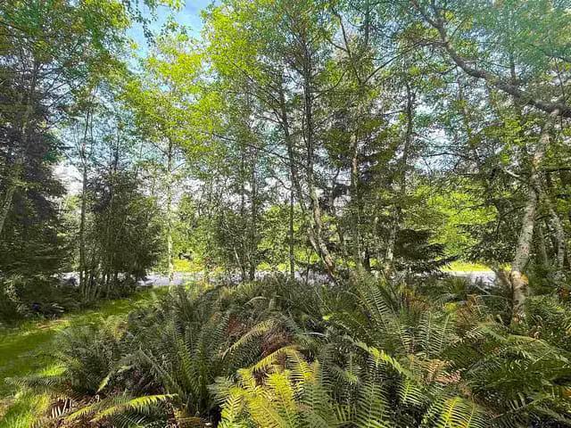 Lot for sale in Galiano Island, Islands Van. & Gulf, Lot 11 Bo.