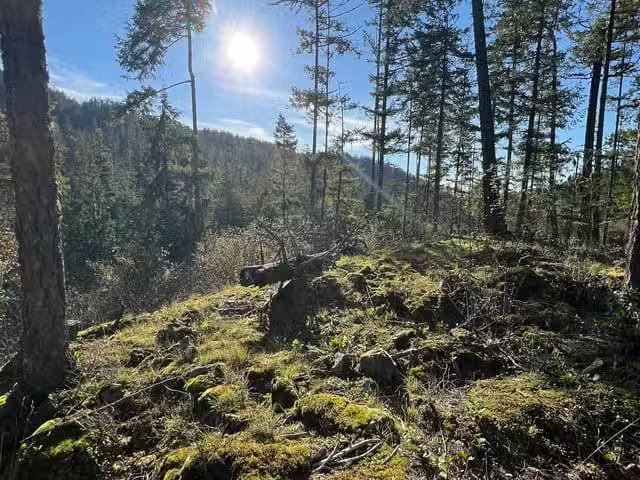 Lot for sale in Garden Bay, Sunshine Coast, 13808 Sakinaw Driv.