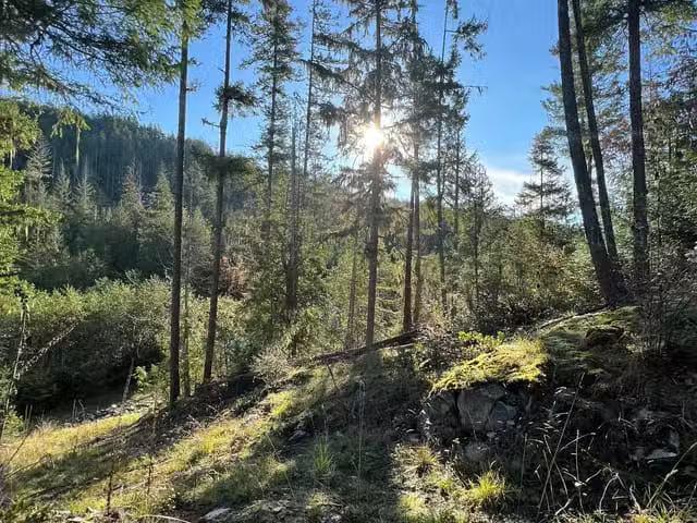 Lot for sale in Garden Bay, Sunshine Coast, 13830 Sakinaw Driv.