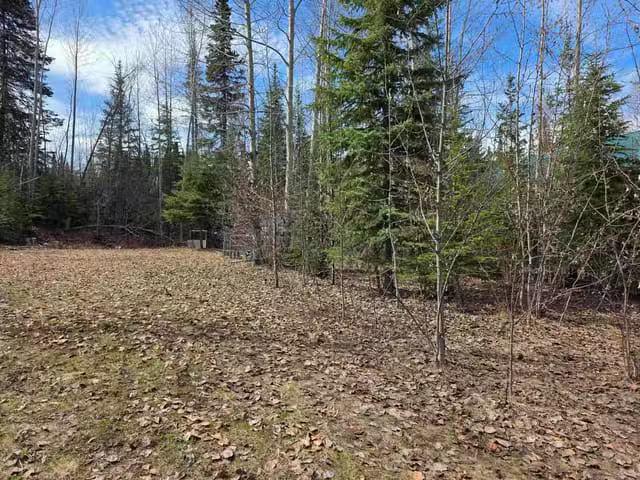 Lot for sale in Granisle, Houston, 14 Byron Circle, 263141036